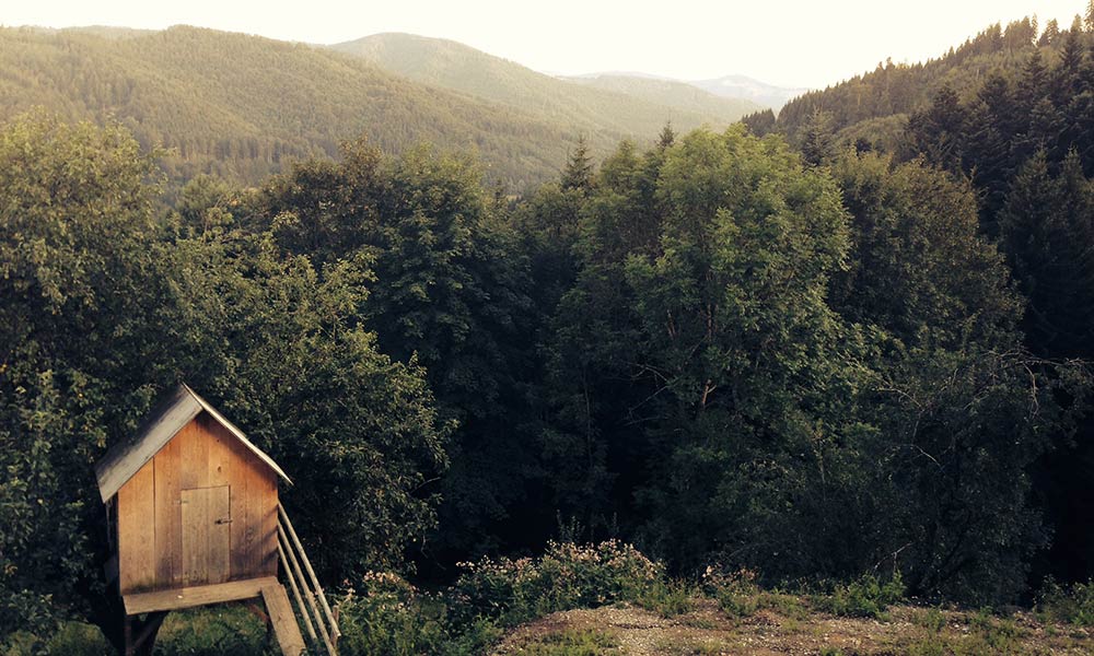 Услуги Инженеров и Дизайнеров